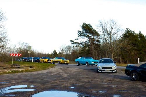 60th Mustang anniversary (22)