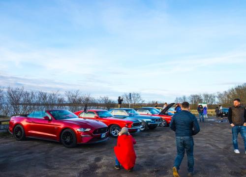 60th Mustang anniversary (27)