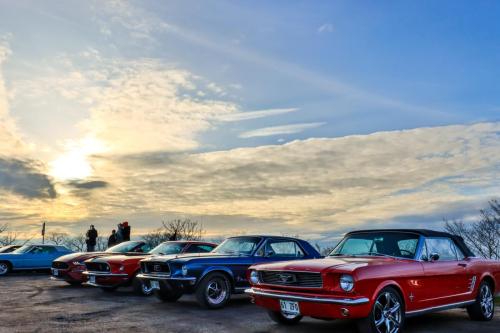 60th Mustang anniversary (36)